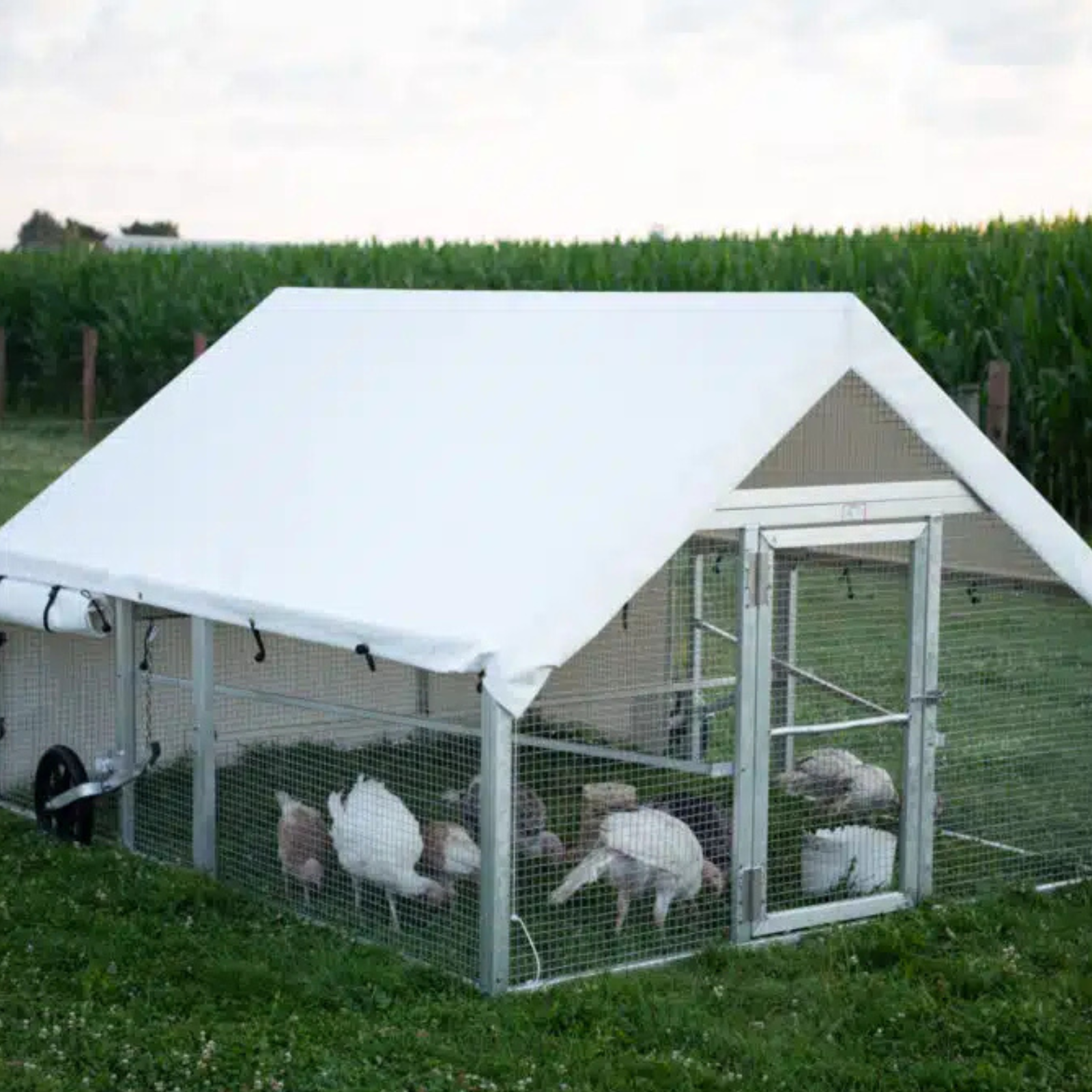 Pollaio Mobile 8×10 per Fattorie e Giardini